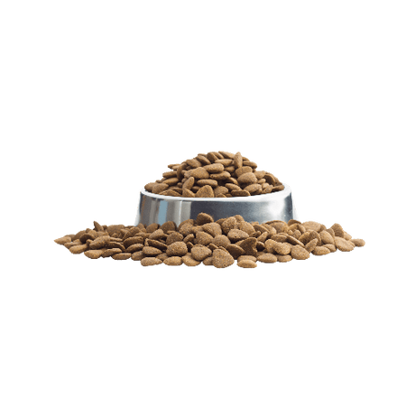 Complete Dog Food & Meals - Pet House KH