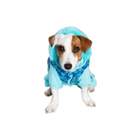 Pet Clothing - Pet House KH