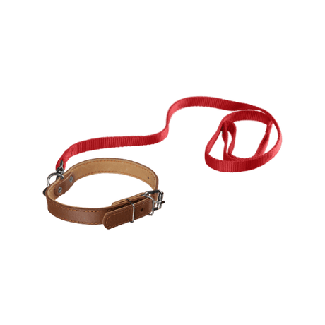 Pet Collars - Pet House KH