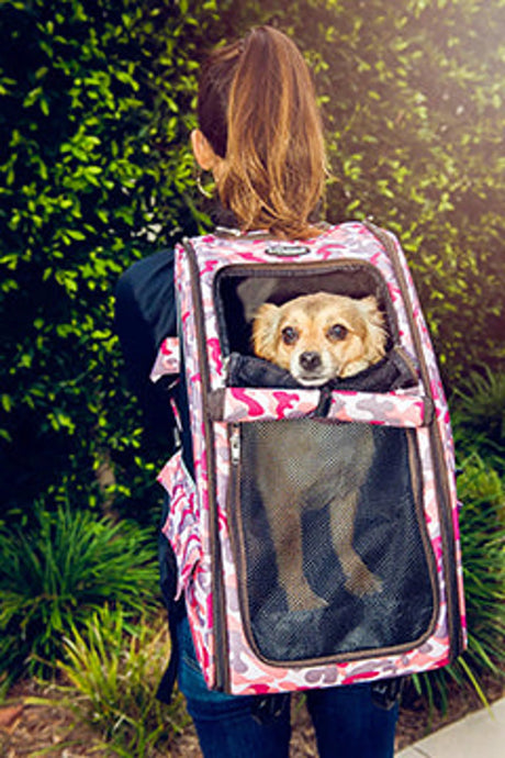 5 - in - 1 Pet Carrier | Pet Carriers | pethousekh