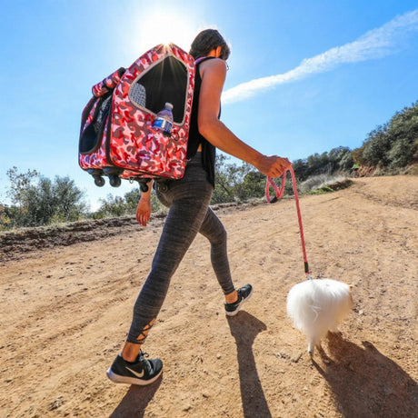 5 - in - 1 Pet Carrier | Pet Carriers | pethousekh