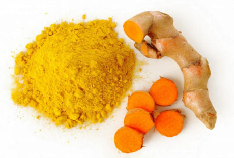 Antioxidant Immune Health Support Meal Topper * | Dog Food Toppers | pethousekh