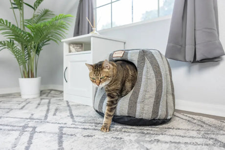 Armarkat Cat Cave Shape Bed W Anti - slip Base, Cushion Mat | Pet Beds | pethousekh