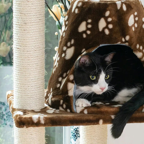 Armarkat Cat Tree Hammock Bed for Cats and Kittens, A6601 | Scratchers | pethousekh