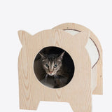 Armarkat S1203 Premium Wood Cat Hideaway With Sisal | Scratchers | pethousekh