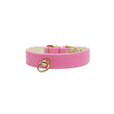 Azure CC Collar | Dog Collars | pethousekh