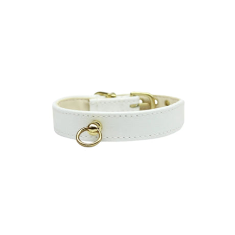 Azure CC Collar | Dog Collars | pethousekh