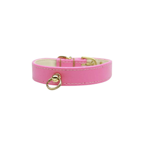 Azure CC Collar | Dog Collars | pethousekh