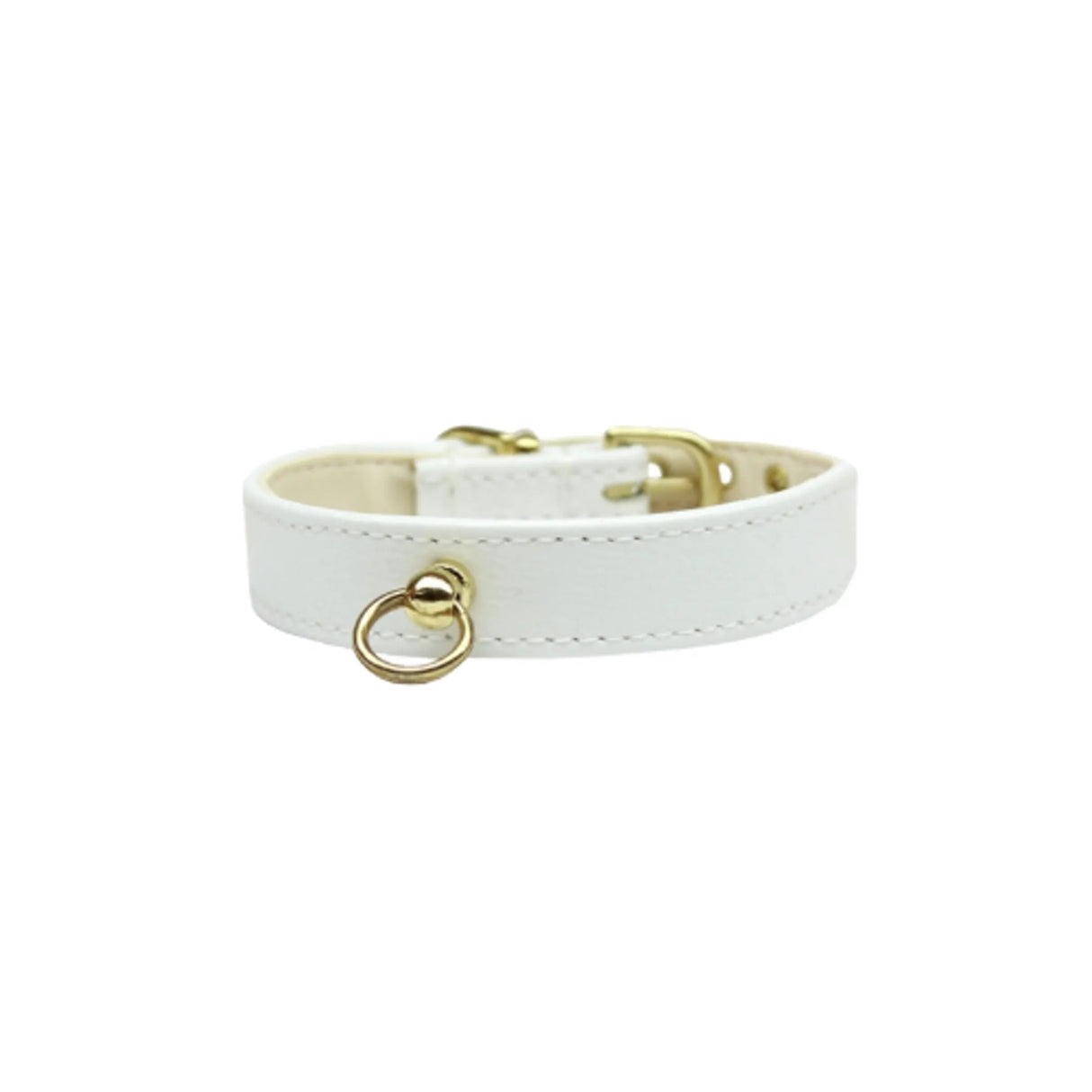 Azure CC Collar | Dog Collars | pethousekh