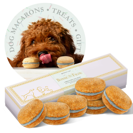 Bonne et Filou Handmade Dog Macarons, Box of 6 Flavors | Dog Treats | pethousekh