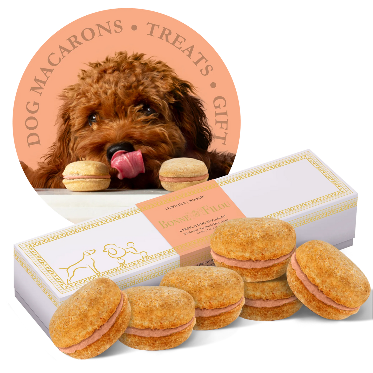 Bonne et Filou Handmade Dog Macarons, Box of 6 Flavors | Dog Treats | pethousekh