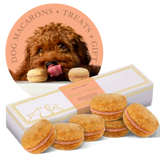 Bonne et Filou Handmade Dog Macarons, Box of 6 Flavors | Dog Treats | pethousekh