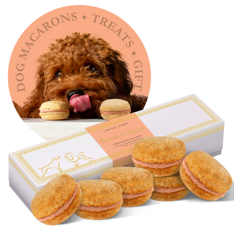 Bonne et Filou Handmade Dog Macarons, Box of 6 Flavors | Dog Treats | pethousekh
