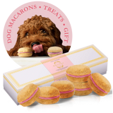 Bonne et Filou Handmade Dog Macarons, Box of 6 Flavors | Dog Treats | pethousekh