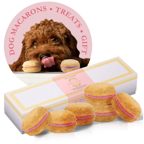 Bonne et Filou Handmade Dog Macarons, Box of 6 Flavors | Dog Treats | pethousekh