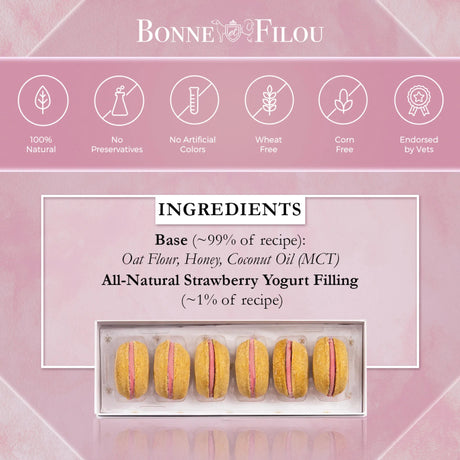 Bonne et Filou Handmade Dog Macarons, Box of 6 Flavors | Dog Treats | pethousekh