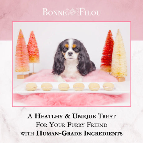 Bonne et Filou Handmade Dog Macarons, Box of 6 Flavors | Dog Treats | pethousekh