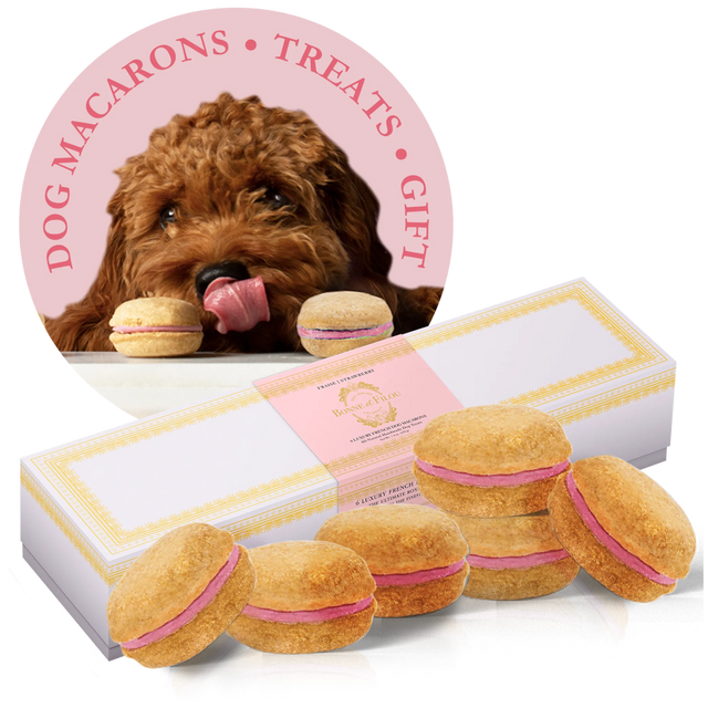 Bonne et Filou Handmade Dog Macarons, Box of 6 Flavors | Dog Treats | pethousekh