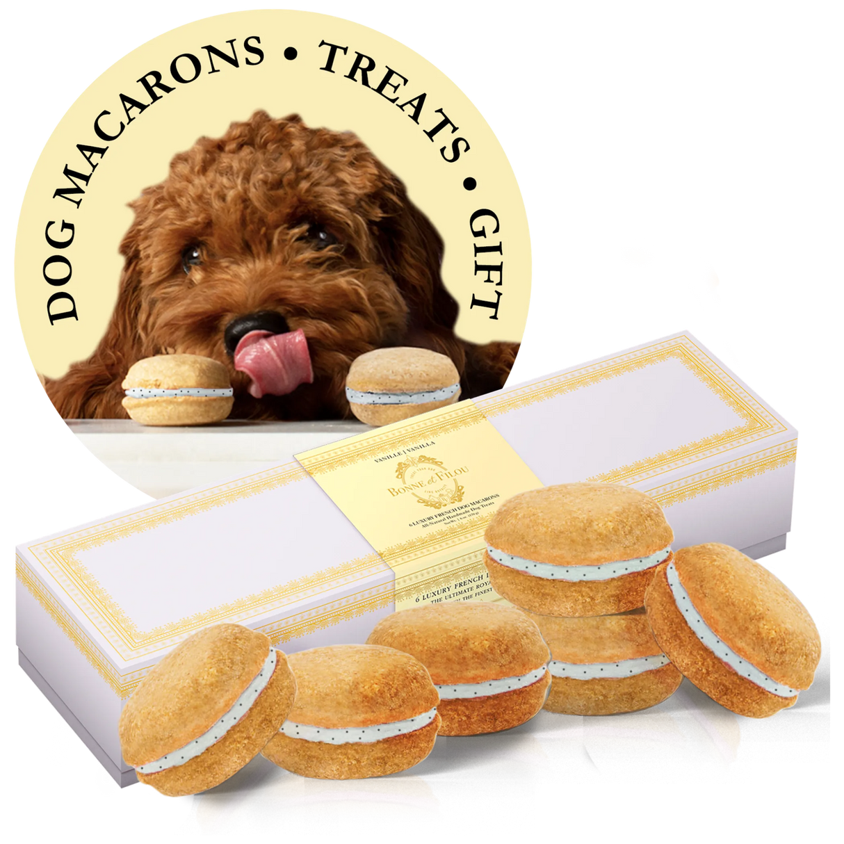 Bonne et Filou Handmade Dog Macarons, Box of 6 Flavors | Dog Treats | pethousekh