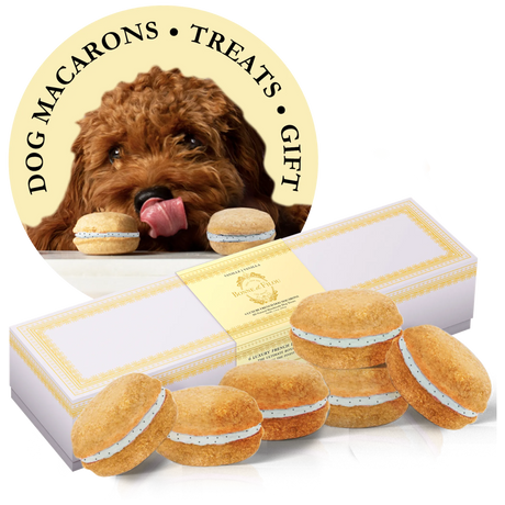 Bonne et Filou Handmade Dog Macarons, Box of 6 Flavors | Dog Treats | pethousekh