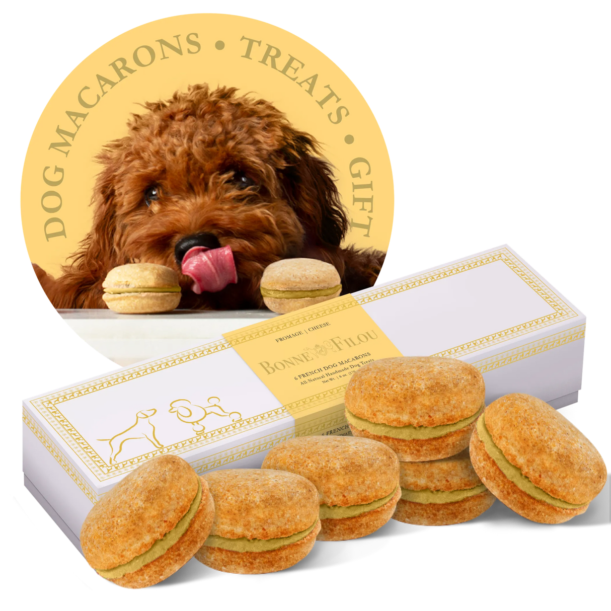 Bonne et Filou Handmade Dog Macarons, Box of 6 Flavors | Dog Treats | pethousekh