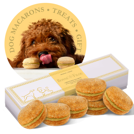 Bonne et Filou Handmade Dog Macarons, Box of 6 Flavors | Dog Treats | pethousekh