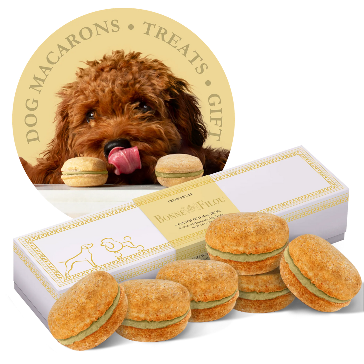 Bonne et Filou Handmade Dog Macarons, Box of 6 Flavors | Dog Treats | pethousekh