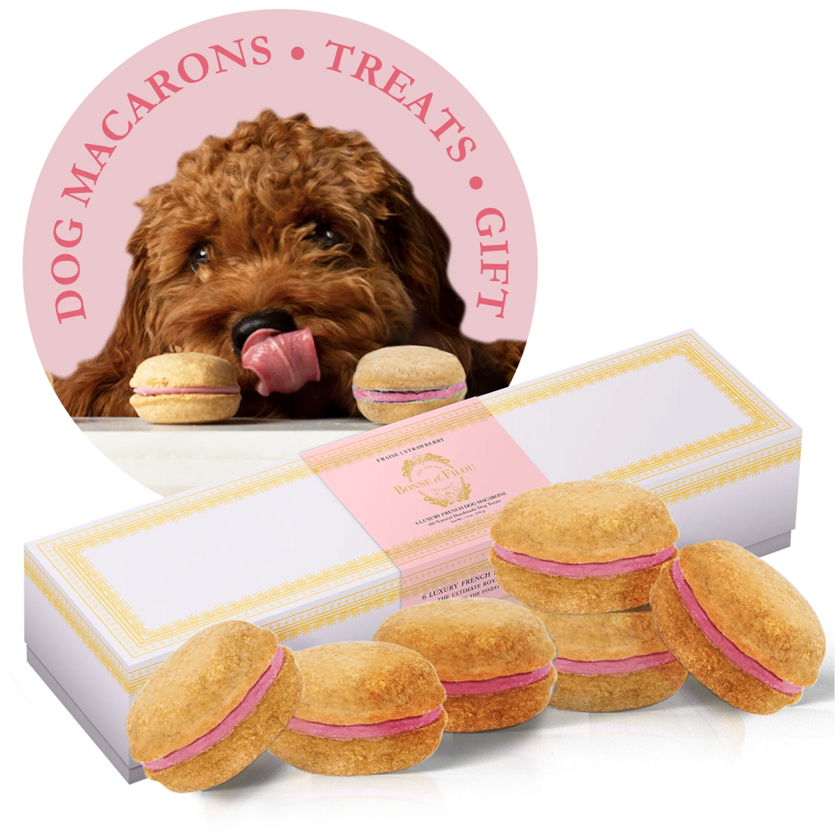 Bonne et Filou Handmade Dog Macarons, Box of 6 Flavors | Dog Treats | pethousekh