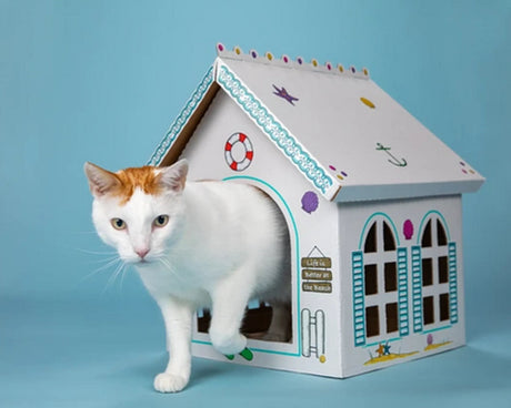 Breezy Beach Cottage Cardboard Cat Playhouse (Pack of 5) | Cat Toys | pethousekh