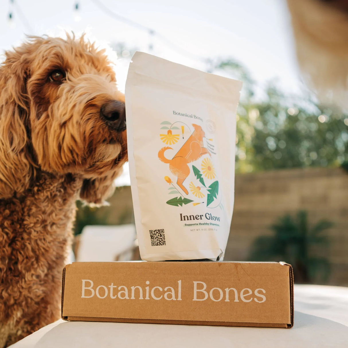 Bulk Treats - Superfood Dog Treat | Jar Refills | Dog Treats | pethousekh