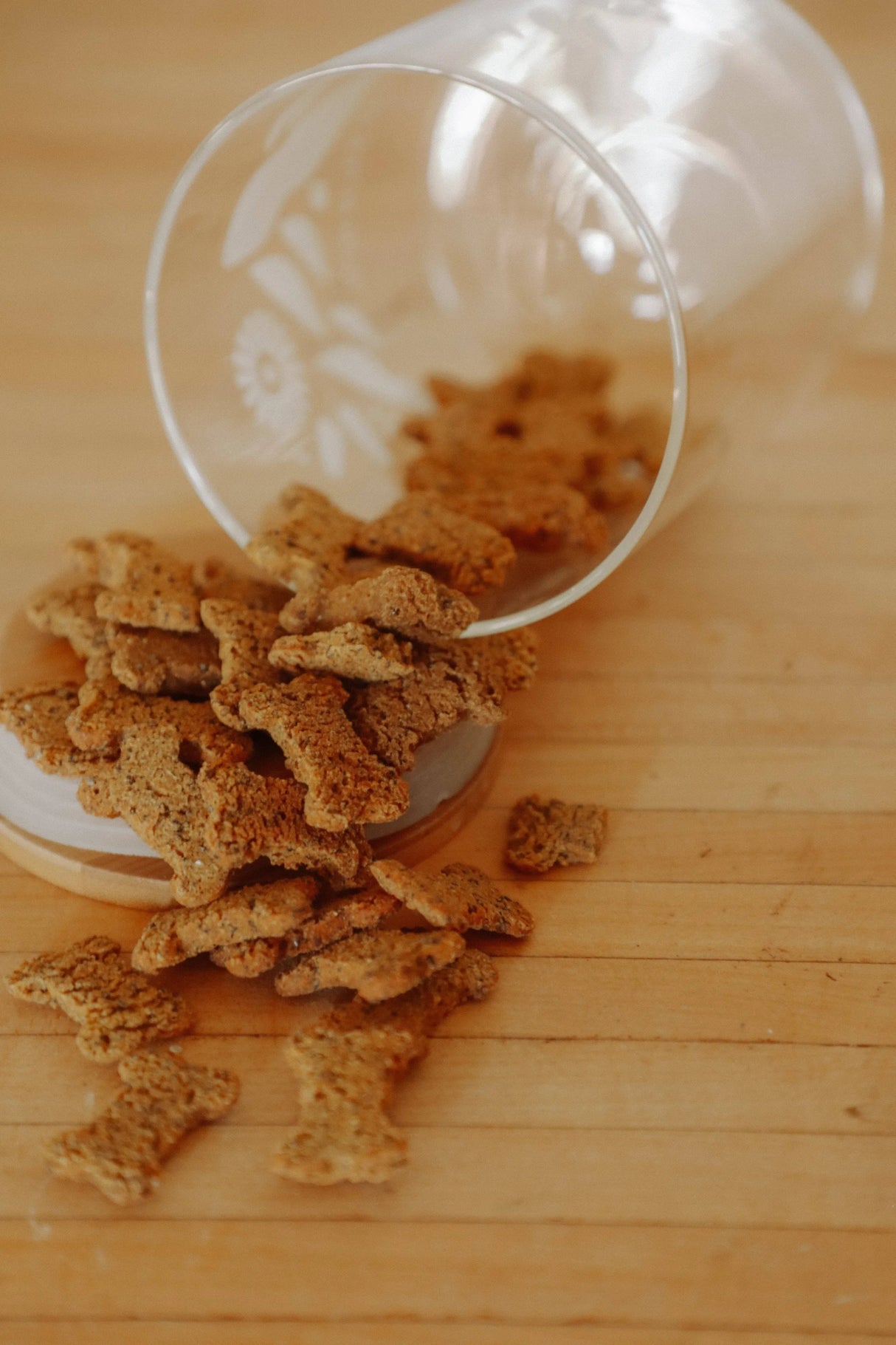 Bulk Treats - Superfood Dog Treat | Jar Refills | Dog Treats | pethousekh