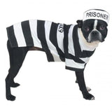 Casual Canine Prison Pooch Costume | Dog Clothes | pethousekh