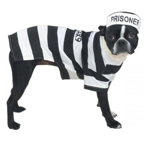 Casual Canine Prison Pooch Costume | Dog Clothes | pethousekh