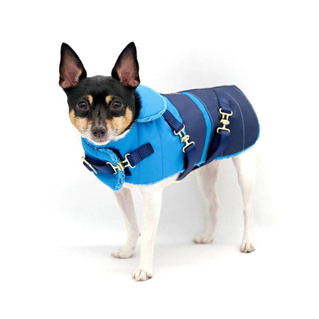 "Clear Blue Sky" - DCNY Equestrian Collection | Dog Clothes | pethousekh