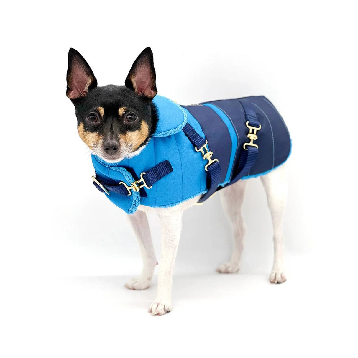 "Clear Blue Sky" - DCNY Equestrian Collection | Dog Clothes | pethousekh