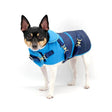 "Clear Blue Sky" - DCNY Equestrian Collection | Dog Clothes | pethousekh