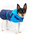 "Clear Blue Sky" - DCNY Equestrian Collection | Dog Clothes | pethousekh