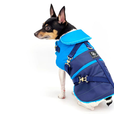 "Clear Blue Sky" - DCNY Equestrian Collection | Dog Clothes | pethousekh