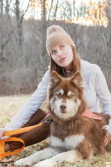 Crimson Glow Waterproof Dog Leash | Dog Leashes | pethousekh