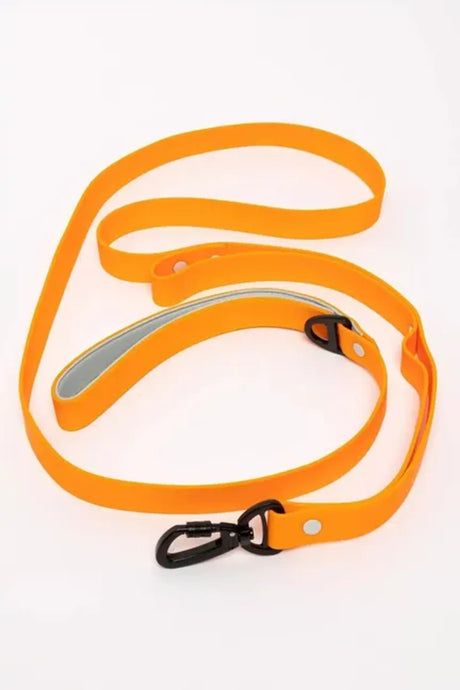 Crimson Glow Waterproof Dog Leash | Dog Leashes | pethousekh
