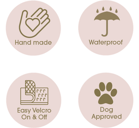 DCNY Belted Trench Coat | Dog Clothes | pethousekh
