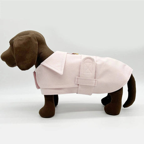 DCNY Belted Trench Coat | Dog Clothes | pethousekh