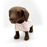 DCNY Belted Trench Coat | Dog Clothes | pethousekh