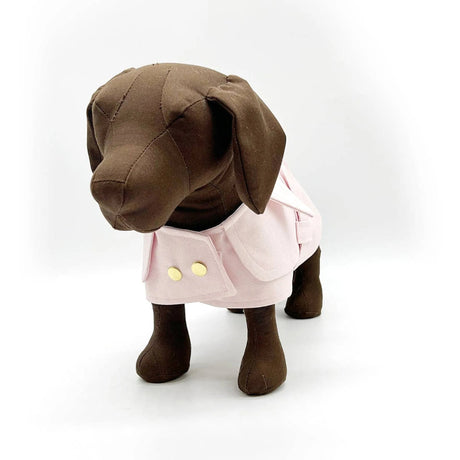 DCNY Belted Trench Coat | Dog Clothes | pethousekh