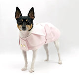 DCNY Belted Trench Coat | Dog Clothes | pethousekh