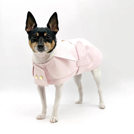 DCNY Belted Trench Coat | Dog Clothes | pethousekh