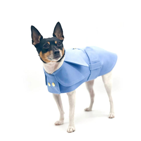 DCNY Belted Trench Coat | Dog Clothes | pethousekh