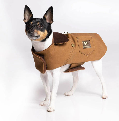 DCNY Canyon Working Coat | Dog Clothes | pethousekh