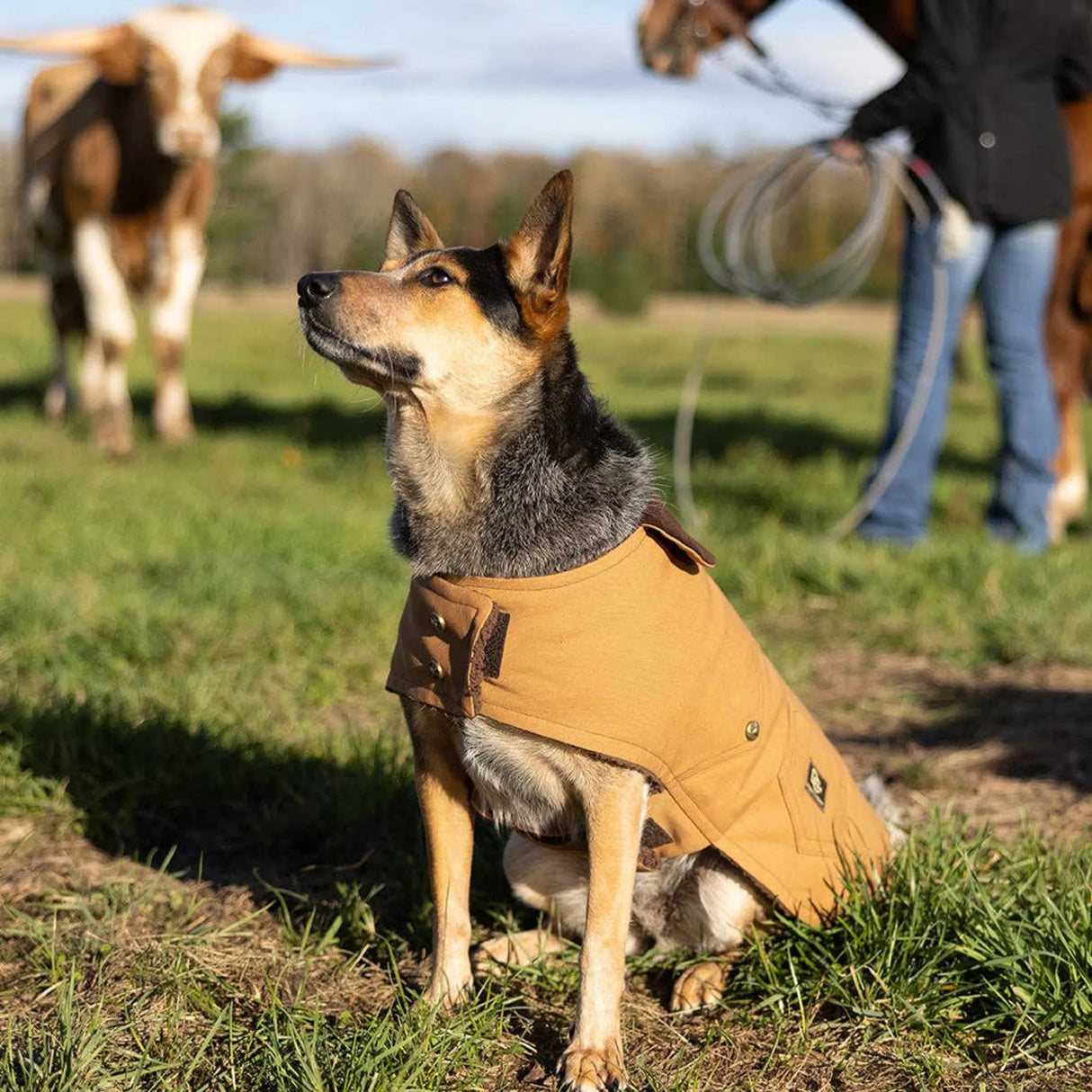 DCNY Canyon Working Coat | Dog Clothes | pethousekh
