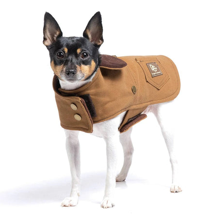 DCNY Canyon Working Coat | Dog Clothes | pethousekh